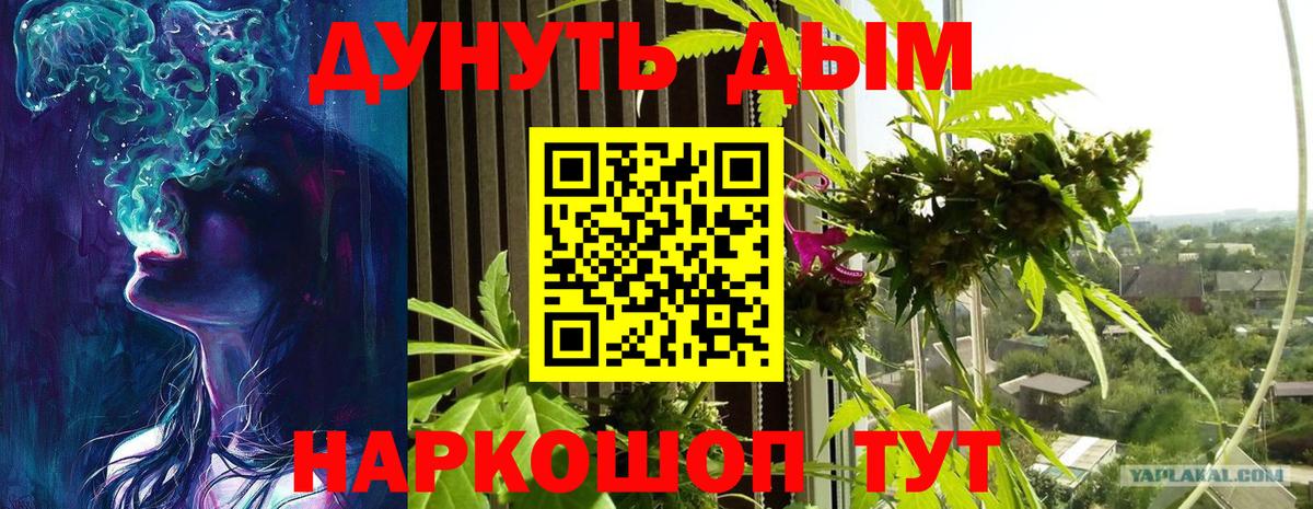 Каннабис марихуана Ноябрьск